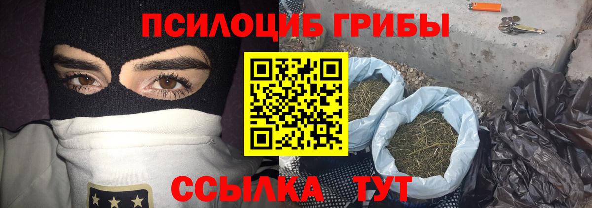 Лесозаводск  Псилоцибиновые грибы Psilocybe  Вход с VPN 